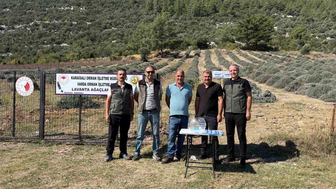 Adana'da Lavanta Ağaçlandırma Projesi Başlatıldı