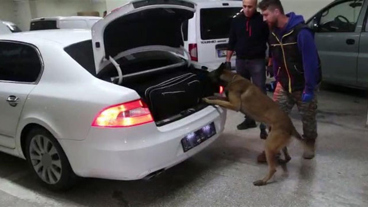 Bolu'da Kaçakçılık Operasyonu: 6 Gözaltı