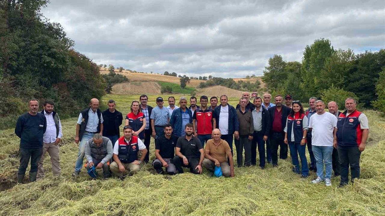 Çanakkale'de Çeltik Üretiminde Damlama Sulama İncelemesi