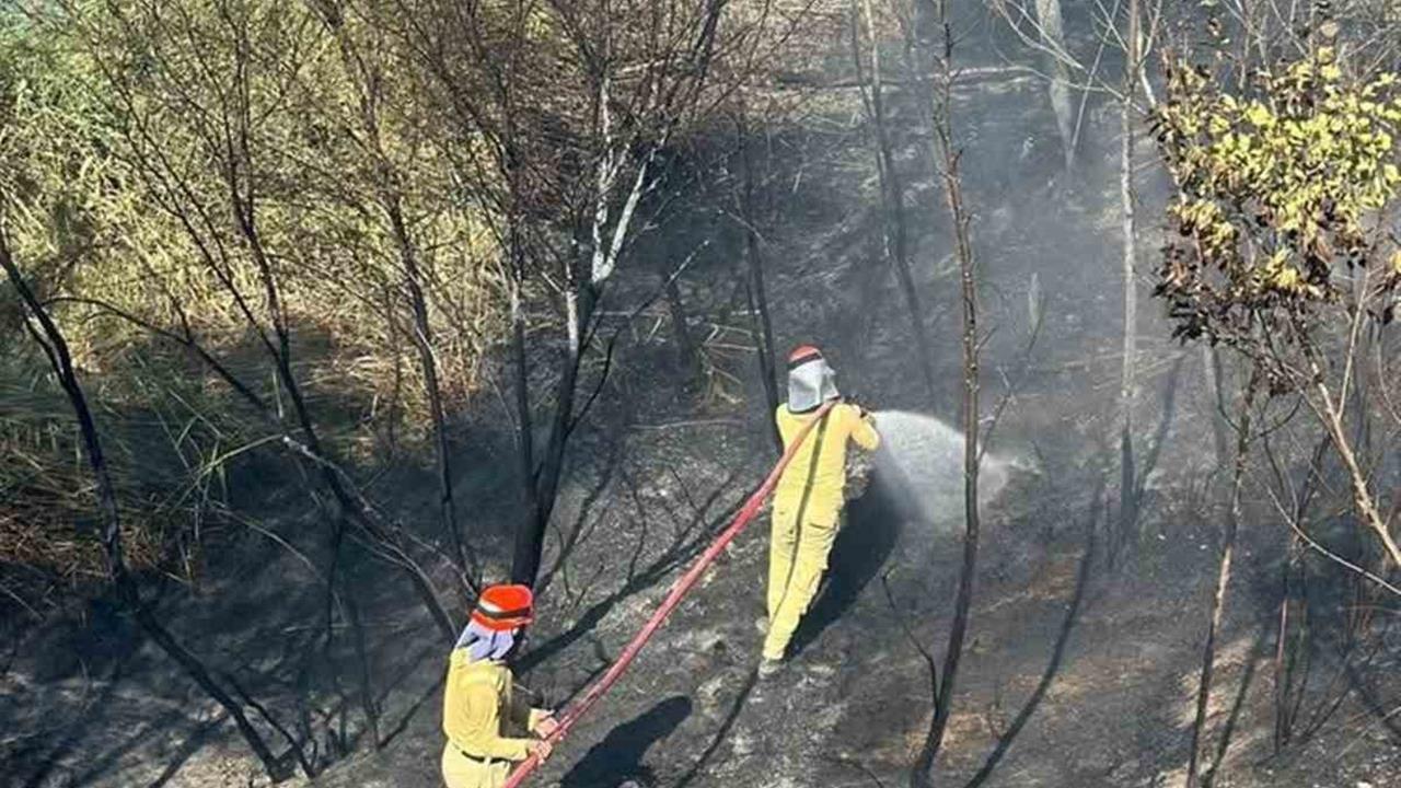 Mersin'de Bahçe Yangını Kontrol Altına Alındı