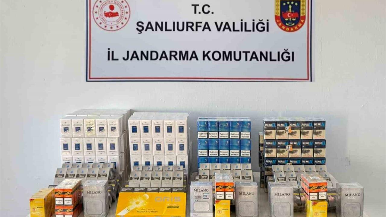 Şanlıurfa'da Kaçak Sigara Operasyonu: 1240 Paket Ele Geçirildi