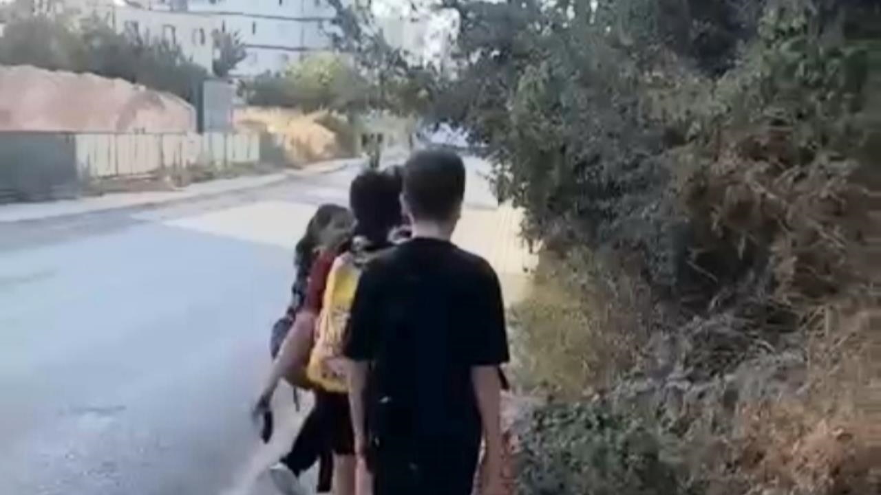 Mersin'de Çocuklar İçin Tehlike: Kaldırımları Kaplayan Çalılar Tepki Çekiyor