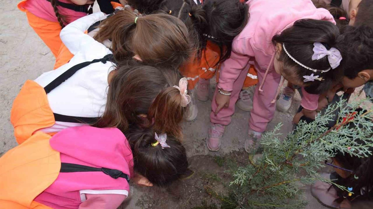 Karapınar'da Minikler Fidan Dikerek Geleceği Yeşertti