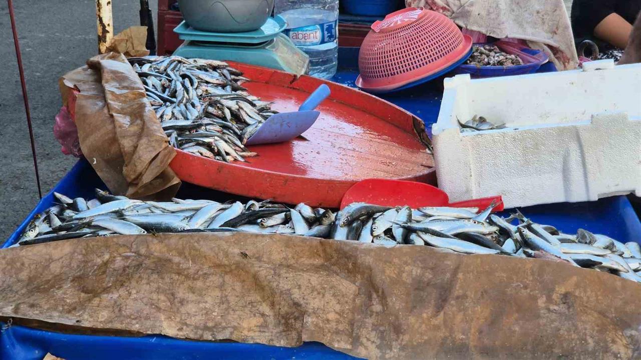 Tekirdağ'da Seyyar Balıkçıdan Sardalya Tavsiyesi