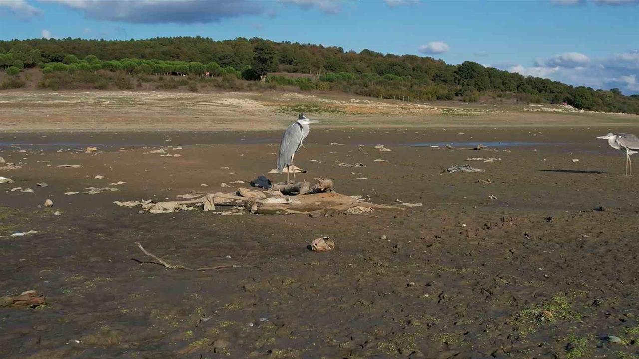İstanbul'daki Barajlarda Doluluk Oranı Alarm Veriyor