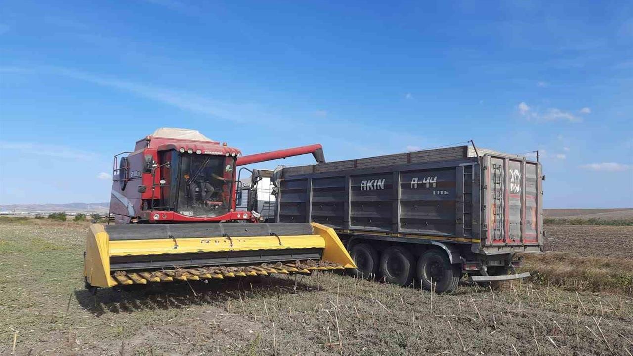 Bandırma'da Ayçiçeği Hasadı Başarıyla Tamamlandı