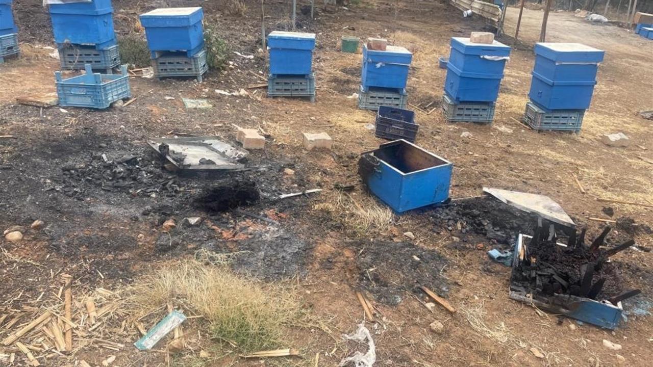 Bursa'da Yangın Mağduru Arıcılara Kovan Desteği