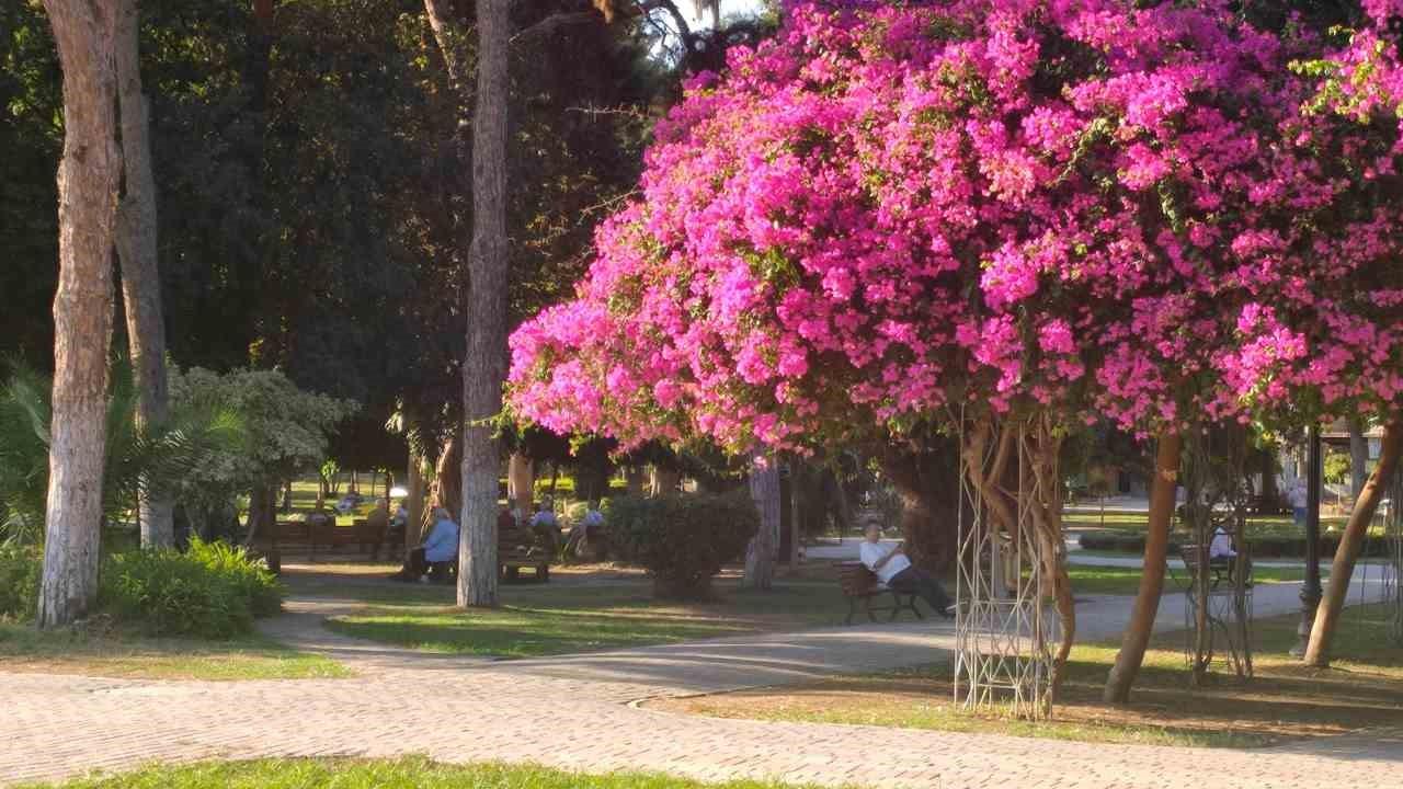 Adana'da Yazdan Kalma Sıcak Günler Devam Ediyor