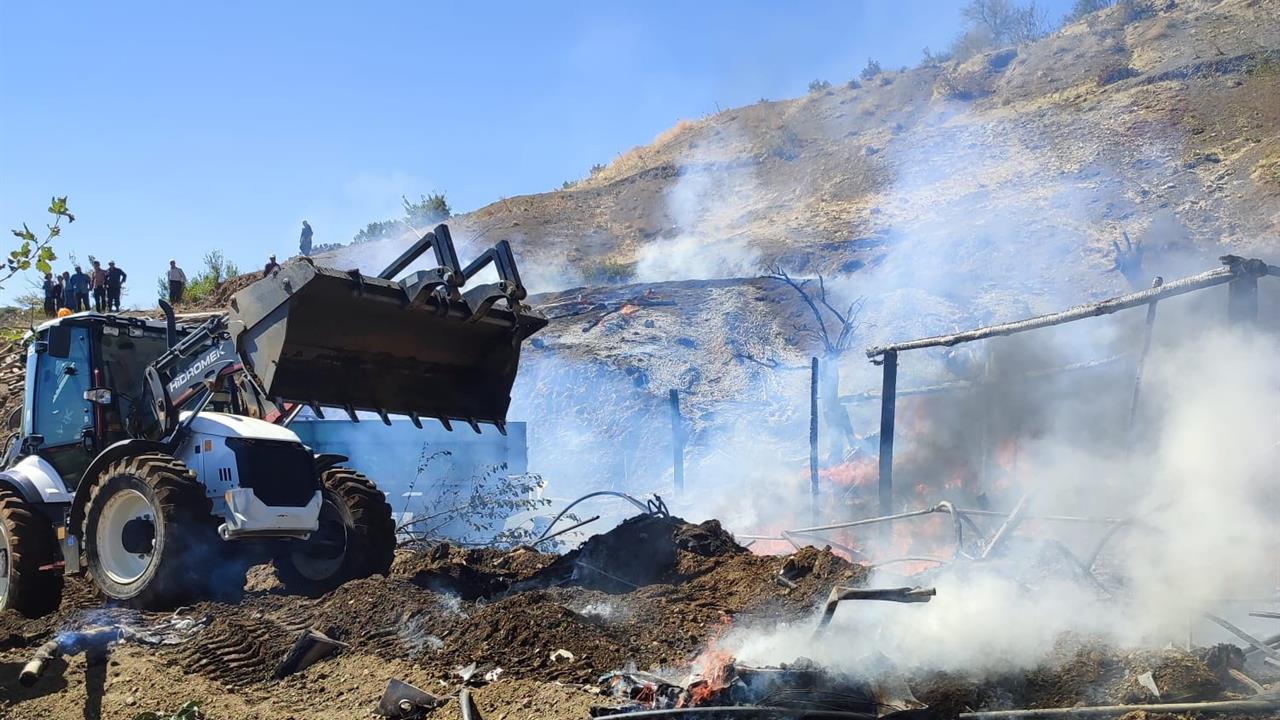 Adıyaman'da Çadır Yangını: 13 Küçükbaş Hayvan Telef Oldu
