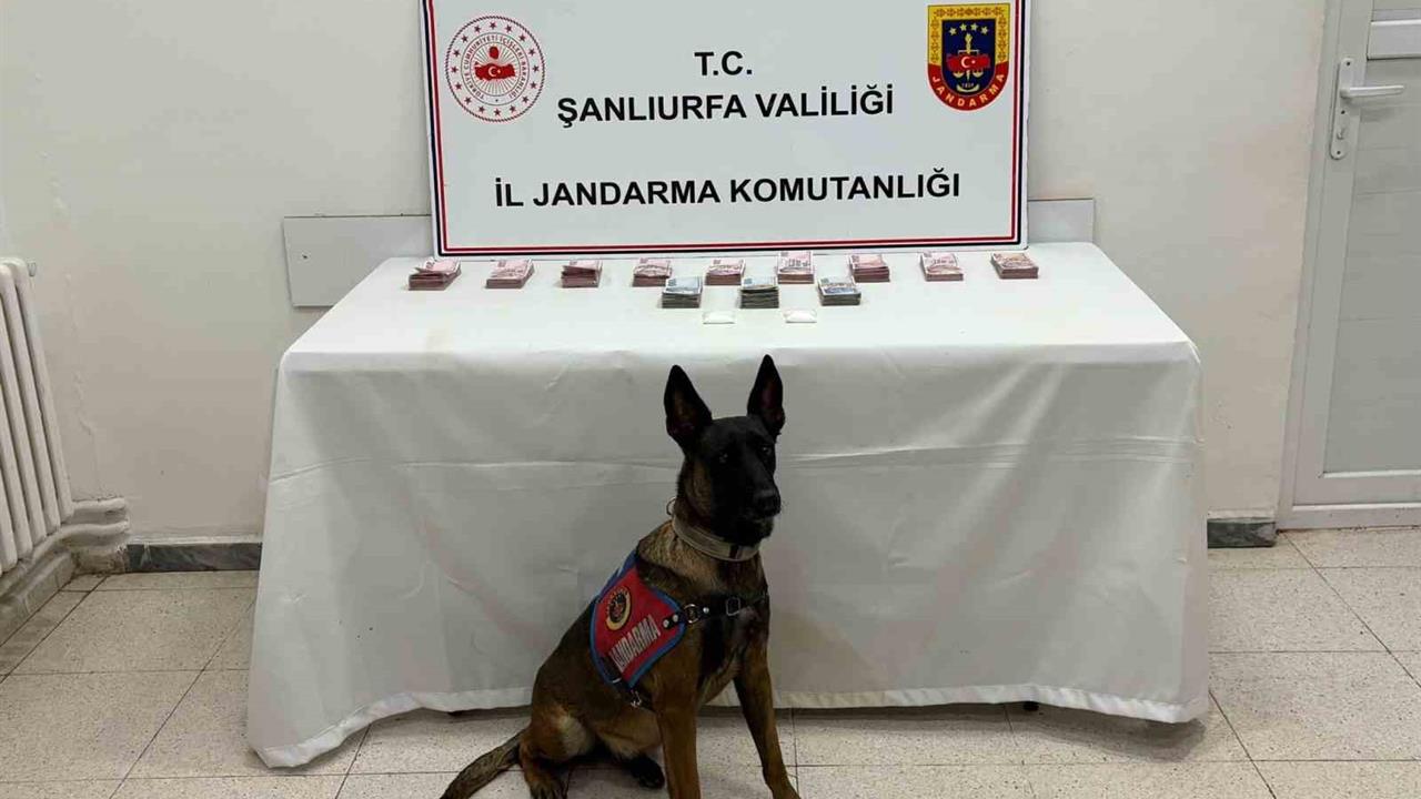 Şanlıurfa'da Uyuşturucu Operasyonu: 210 Bin TL Ele Geçirildi