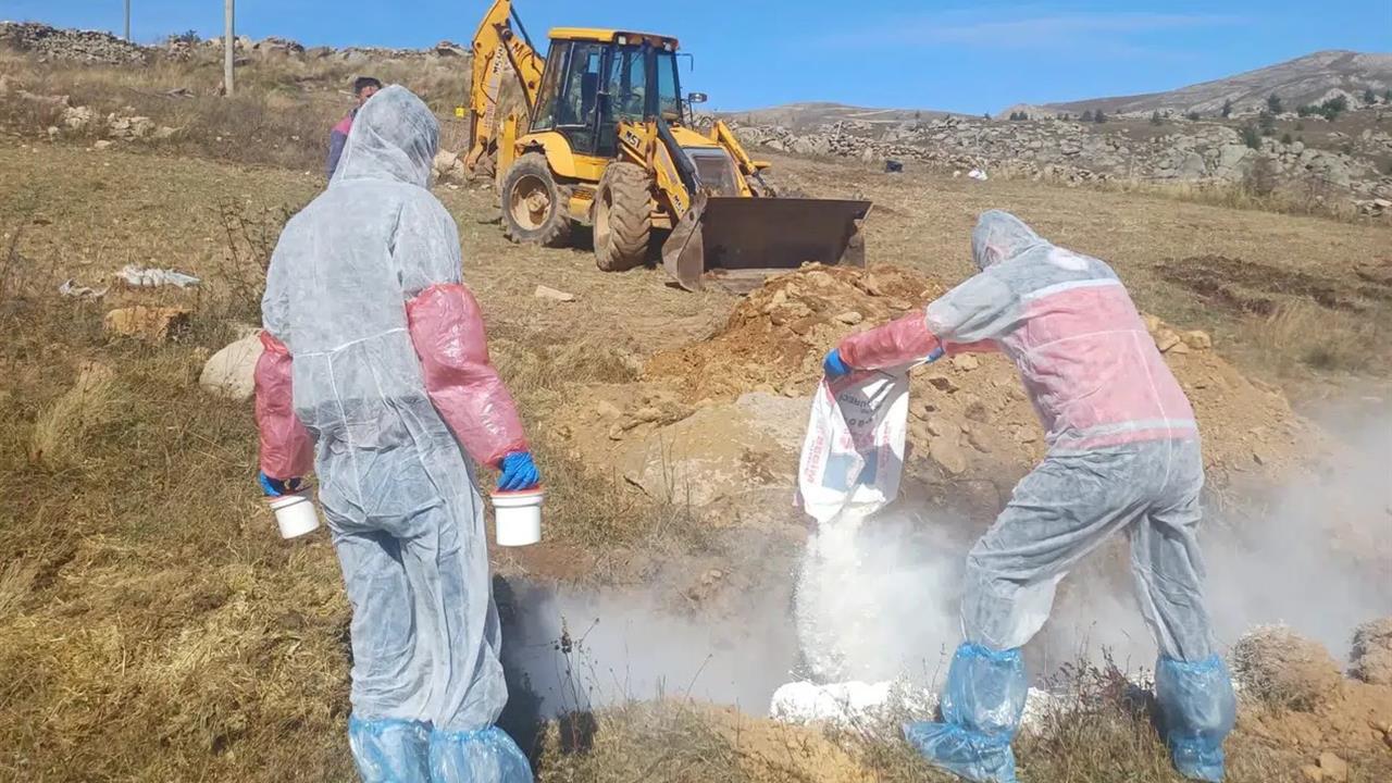 Gümüşhane’de Şarbon Hastalığı Nedeniyle 6 Köyde Yasaklar Getirildi