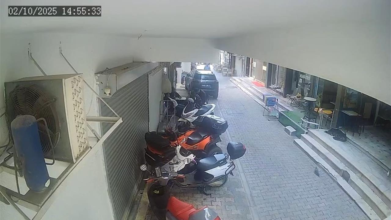 Marmara'da Deprem: Yalova'da Panik Hükümdar Oldu