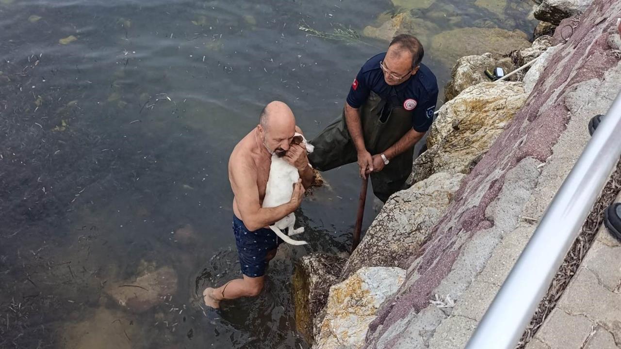 Balıkesir'de Kayalıklara Sıkışan Köpek İçin Kurtarma Operasyonu