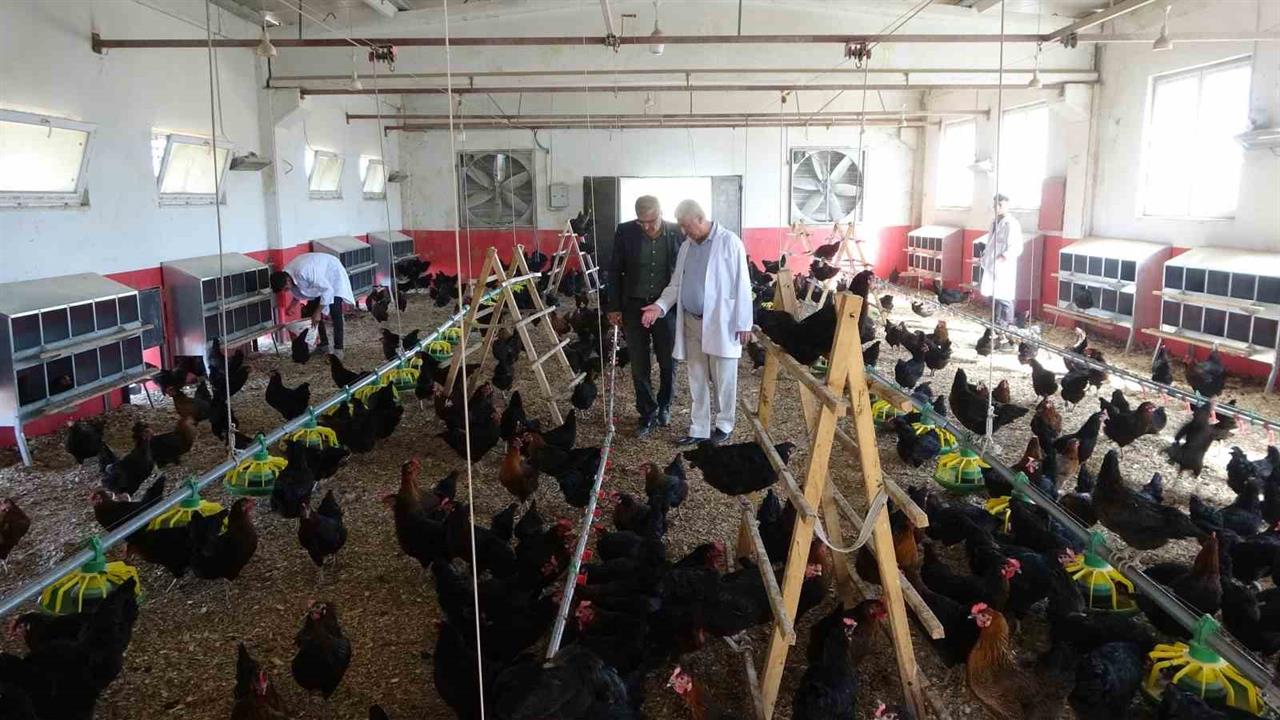 Malatya'da Çiftlik Gibi Okul Projesi Eğitime Katkı Sağlıyor