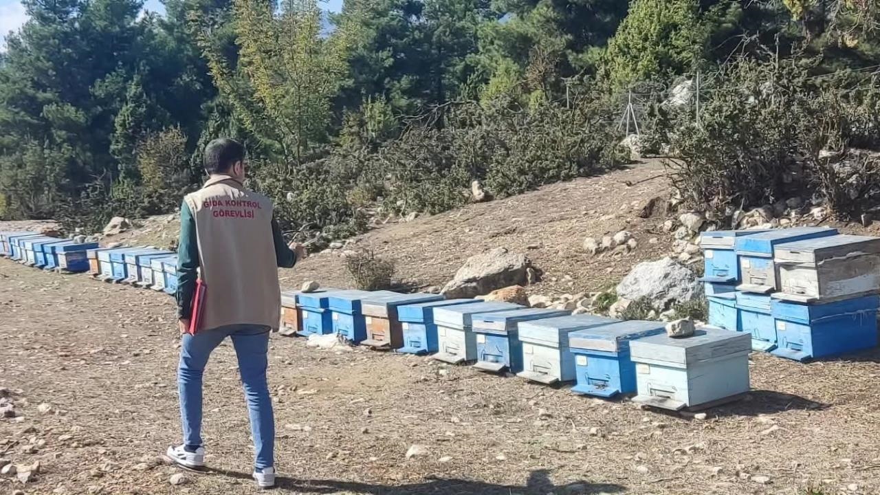 Çamlıyayla'da Arılı Kovan Tespit Çalışması