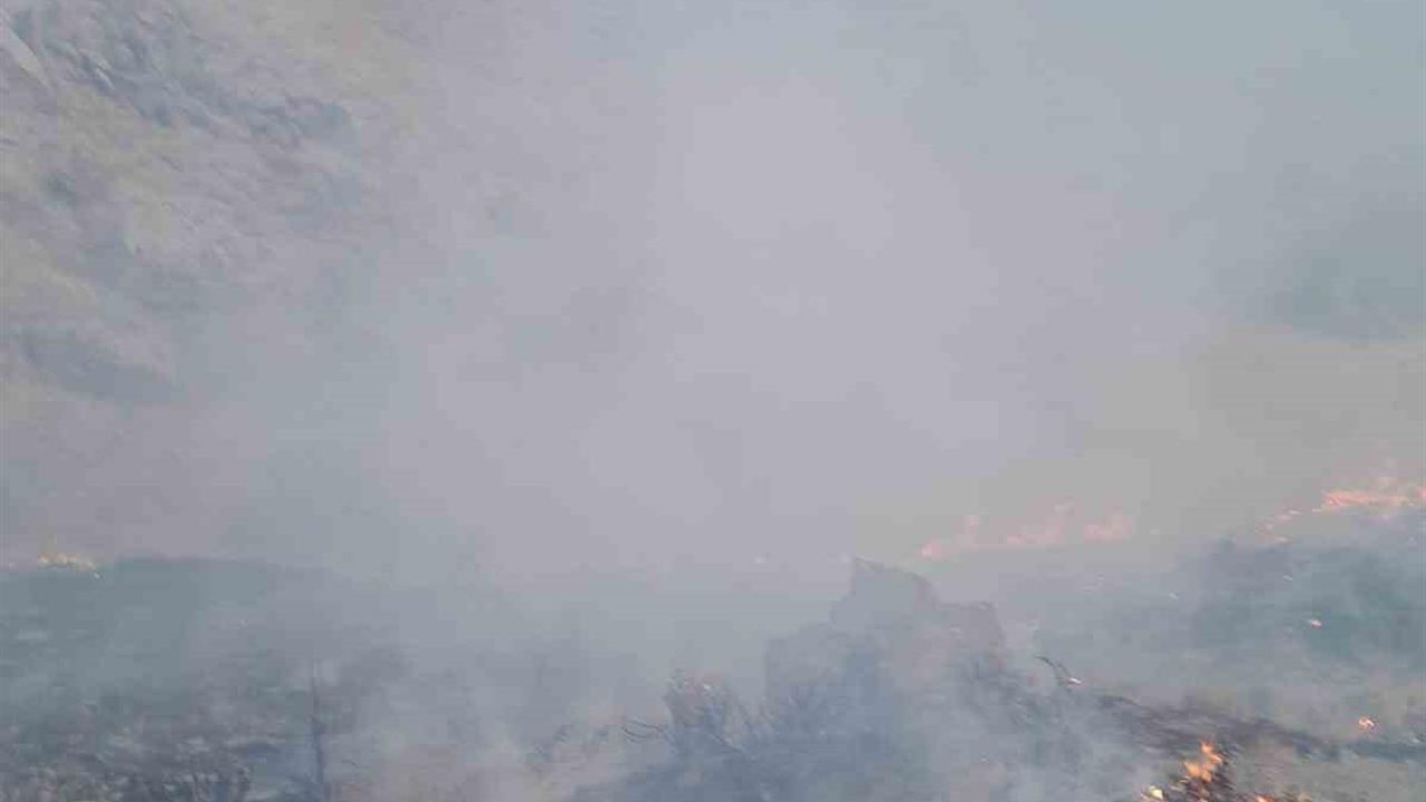 Başkale'de Anız Yangını: İtfaiye Müdahale Etti