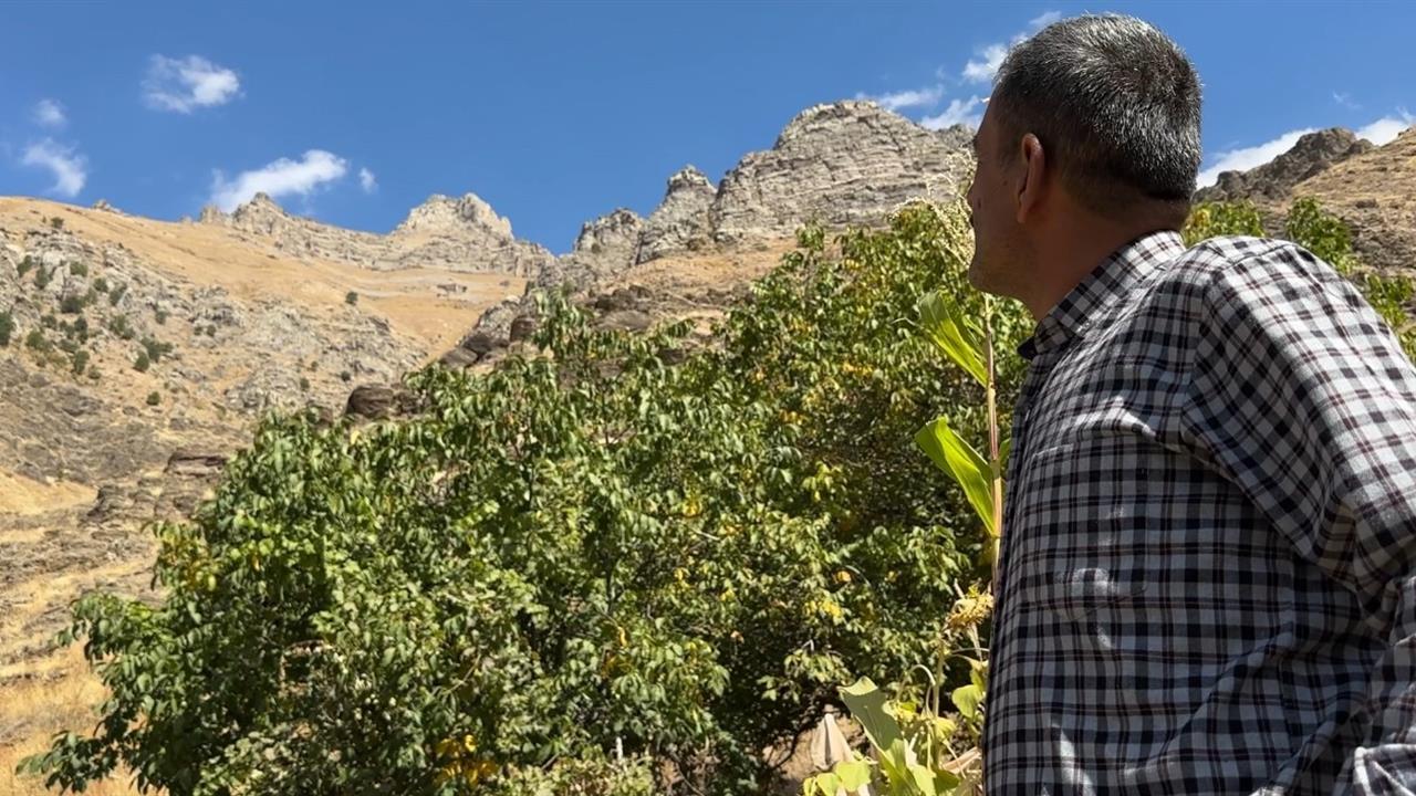 Hakkari'de Dağ Keçileri Kalesi İlgi Odağı Oldu