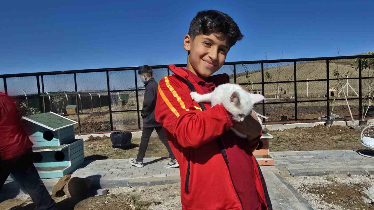 Yozgat'ta Hayvanları Koruma Günü Etkinliği: Kedi Oteli Açıldı