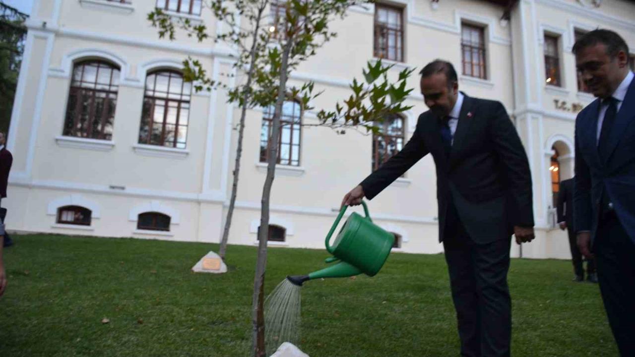 Bakan Kacır, Bilecik'te Diktiği Çınar Ağacını Suladı