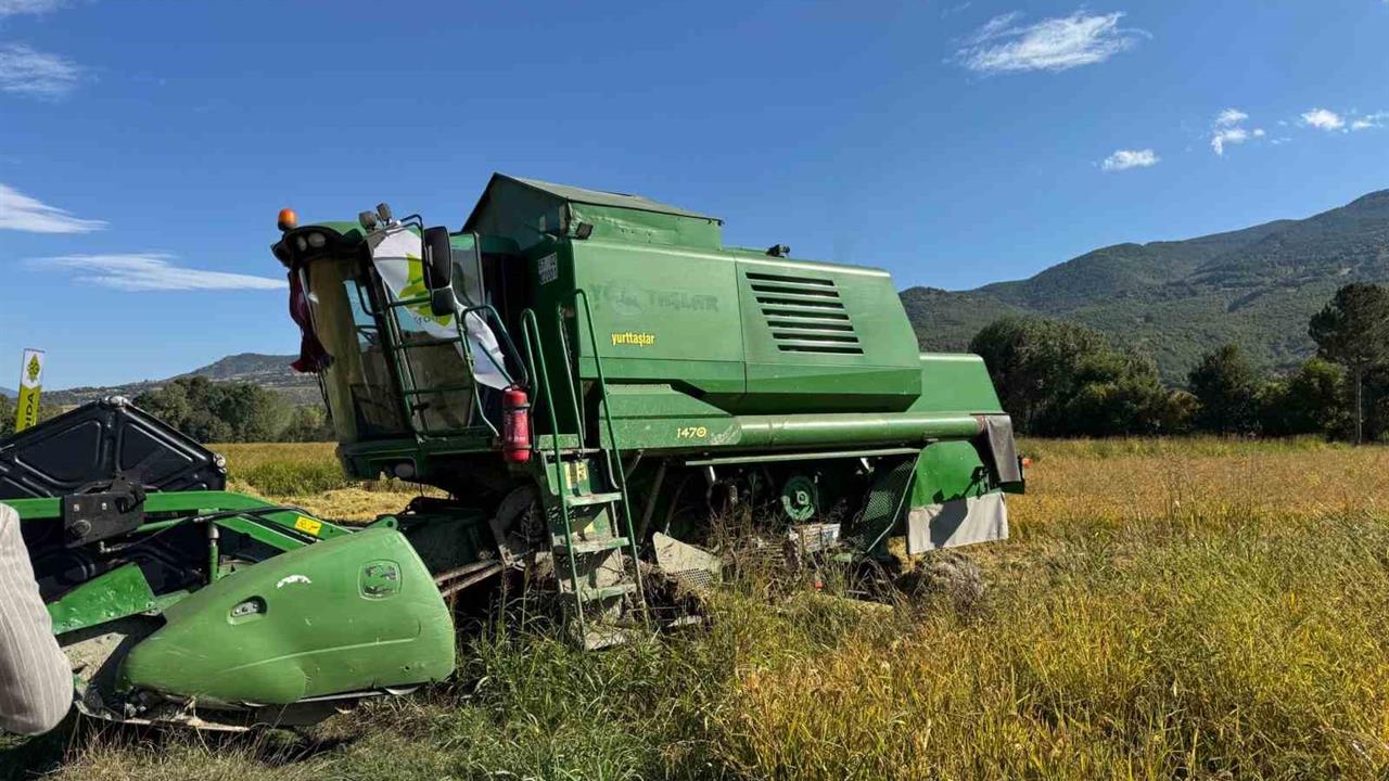 Kastamonu'da Çeltik Hasadı Başladı: TAKE Projesi'nden Verim