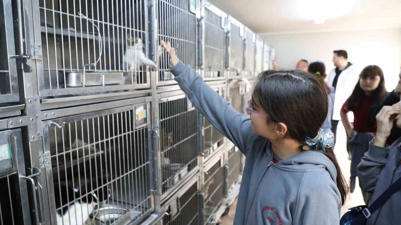 Gaziosmanpaşa’da Hayvanları Koruma Günü Etkinliği Düzenlendi