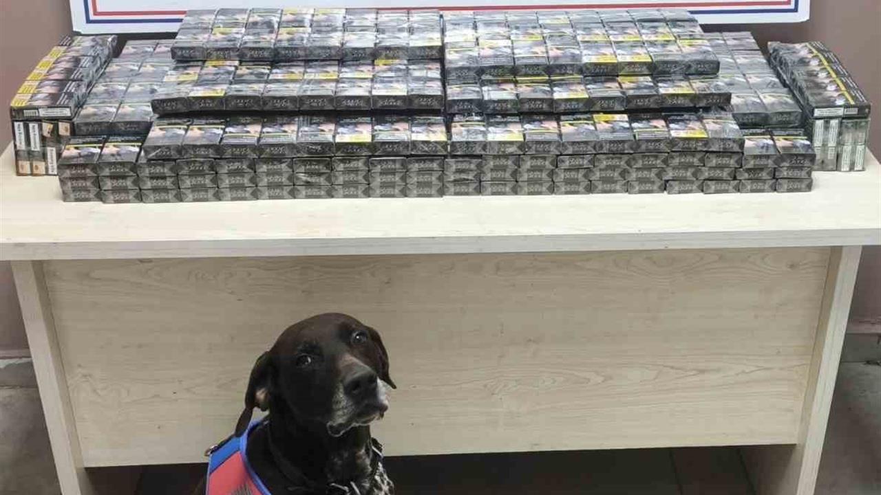 Kayseri'de Durdurulan Tırlardan 560 Paket Kaçak Sigara Çıktı