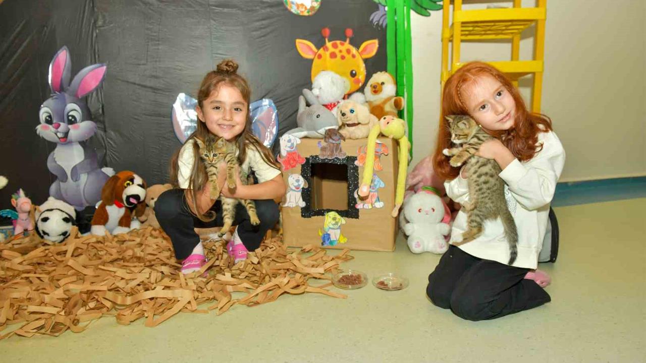 Esenyurt'ta Çocuklardan Hayvanlara Anlamlı Bağış