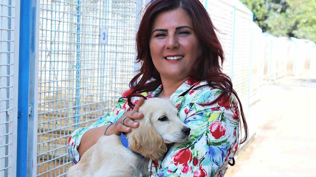 Aydın'da Sokak Hayvanları İçin 244 Bin Metrekarelik Alan