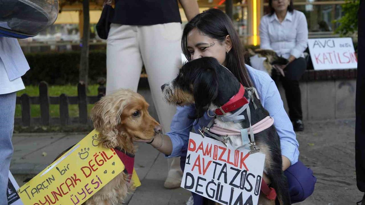 Gümüşhane'de Hayvanları Koruma Günü Yürüyüşü Yapıldı