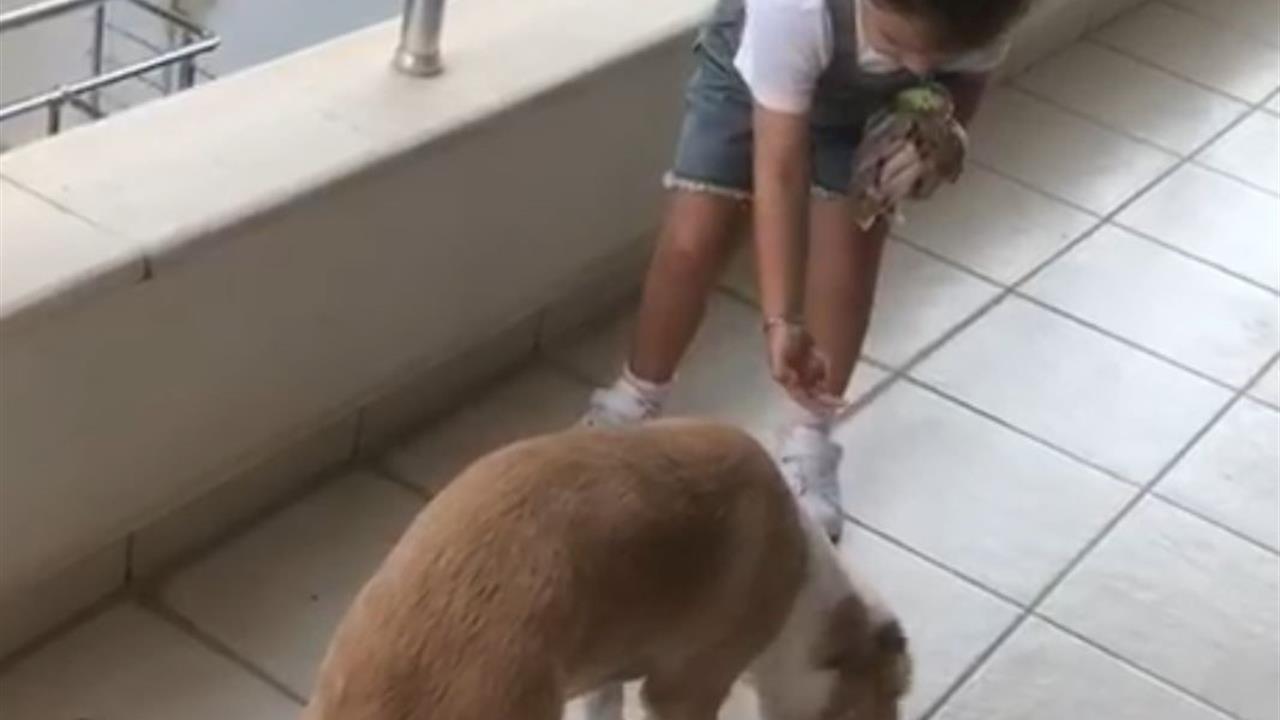 Gökçe'nin Hayvan Sevgisi Örnek Davranış Oldu