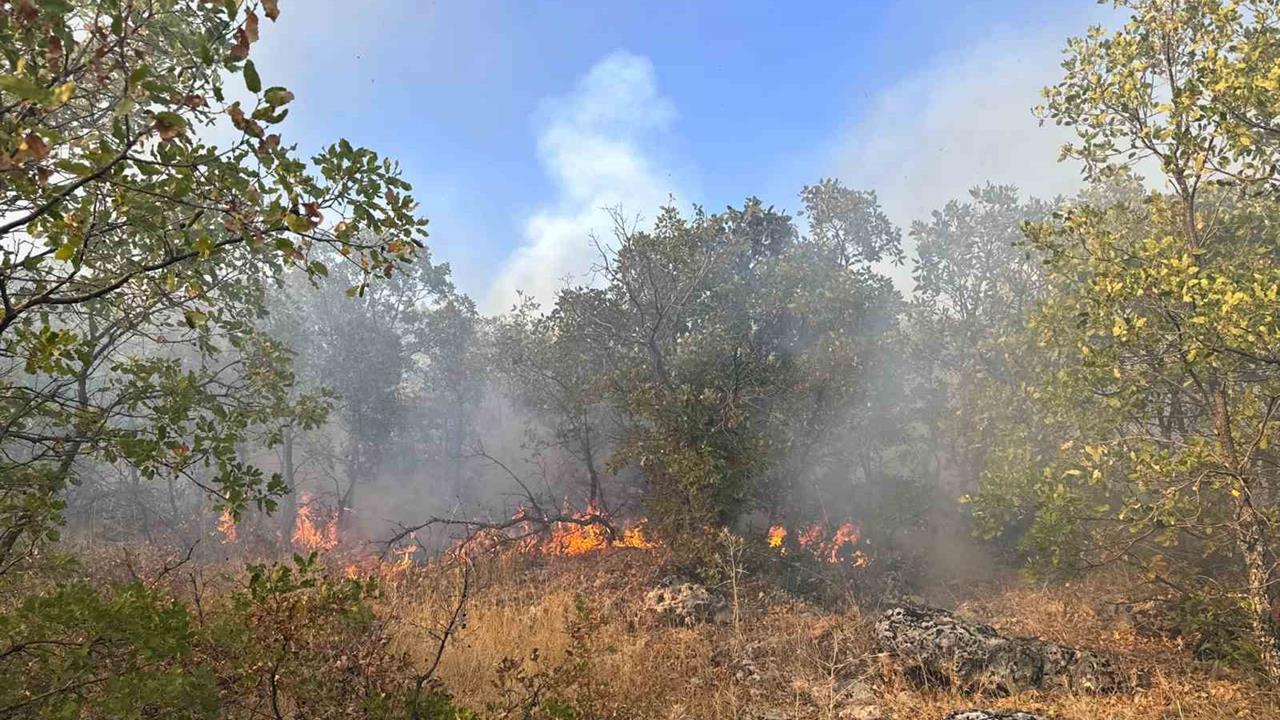 Diyarbakır'da 7 Saat Süren Örtü Yangını Kontrol Altına Alındı