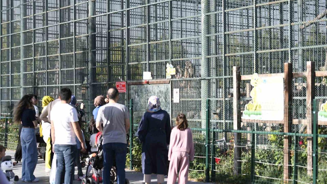 Kayseri'de Ücretsiz Hayvanat Bahçesi Ziyareti Yoğun İlgi Gördü
