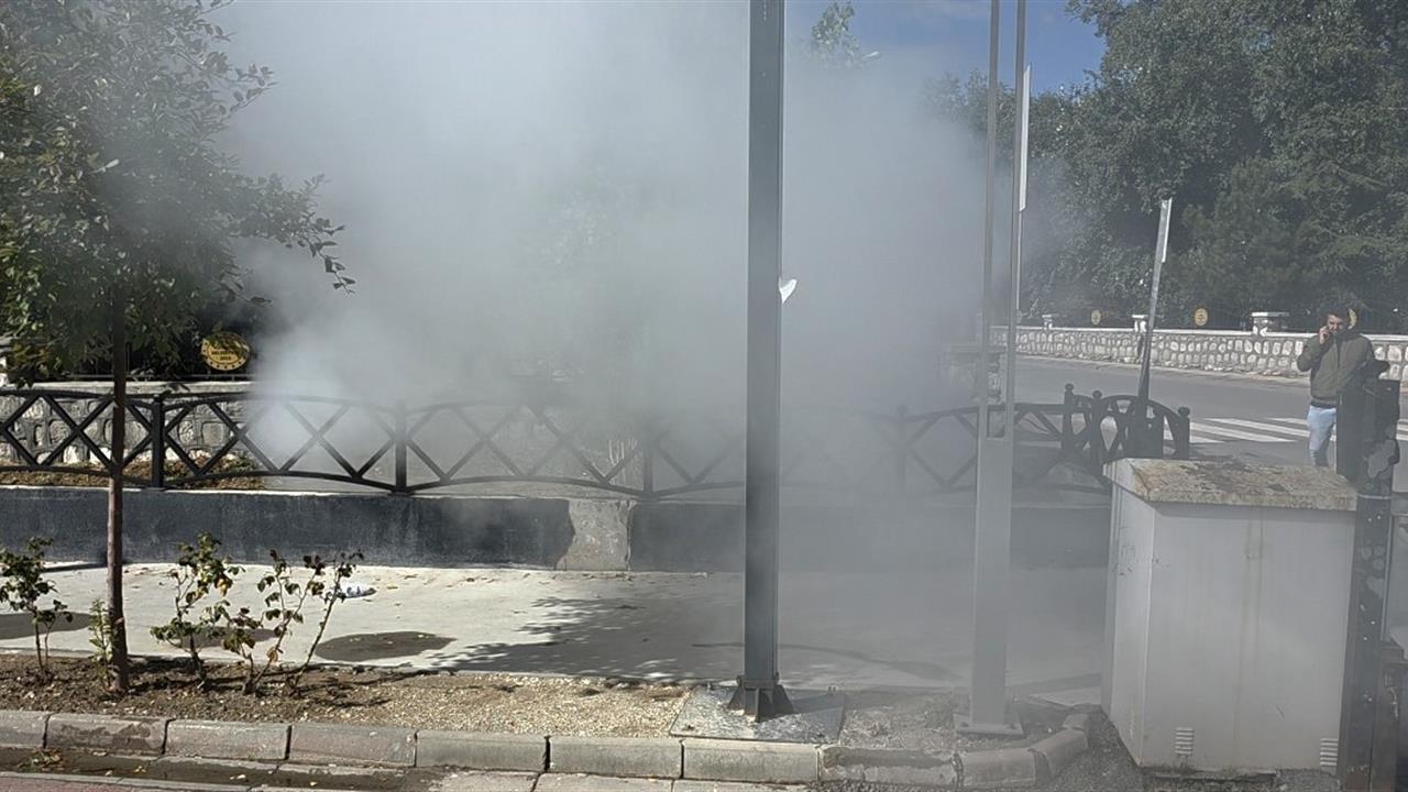 Kütahya'da İlaçlama Çalışması Paniğe Neden Oldu