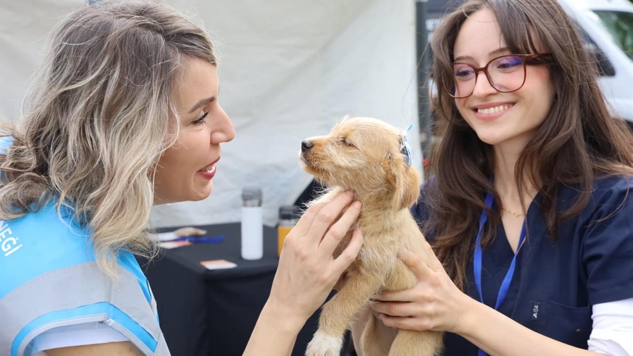 Bursa'da Can Dostlar Yeni Yuvalarına Kavuştu