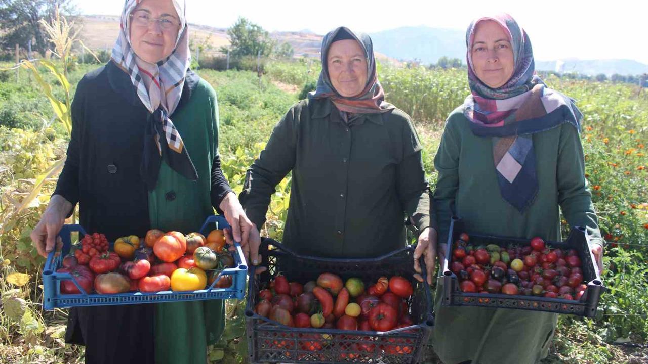 Kayseri’de Yerel Tohumlarla Zengin Üretim Yapılıyor