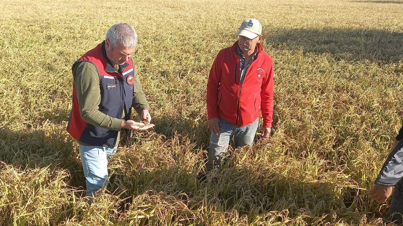Çanakkale'de Dolu Sonrası Hasar Tespit Çalışmaları Başladı
