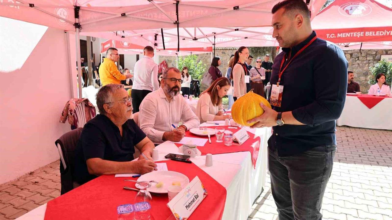 Muğla'da Kavun Yarışması: En İyiler Belirlendi