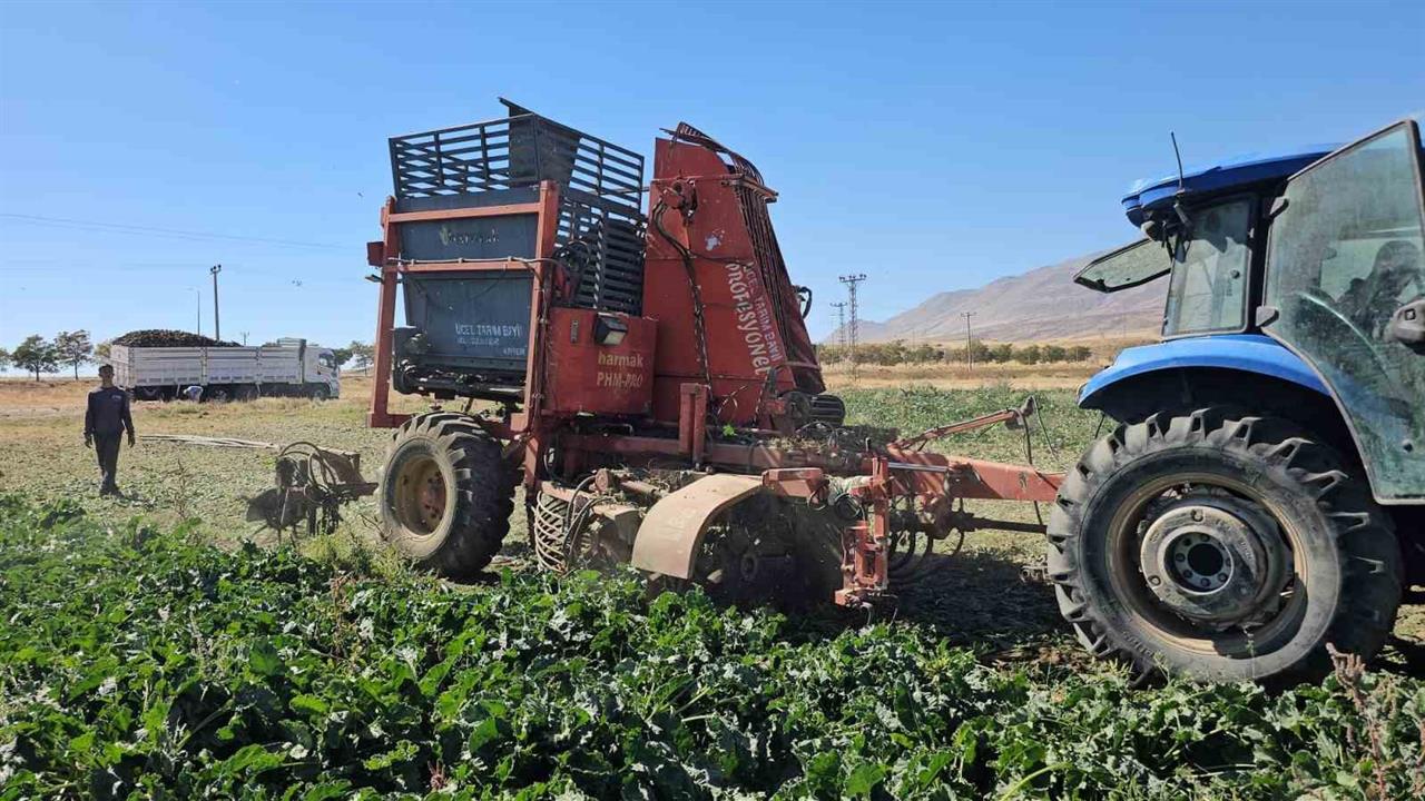Adilcevaz'da Pancar Sökümü Başladı: Bereketli Sezon Bekleniyor