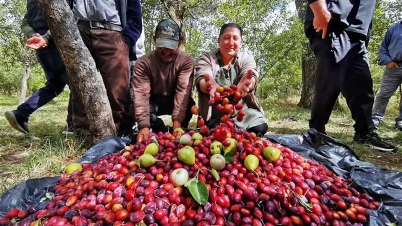 3. Çıldır Cancur Festivali Coşkuyla Gerçekleşti