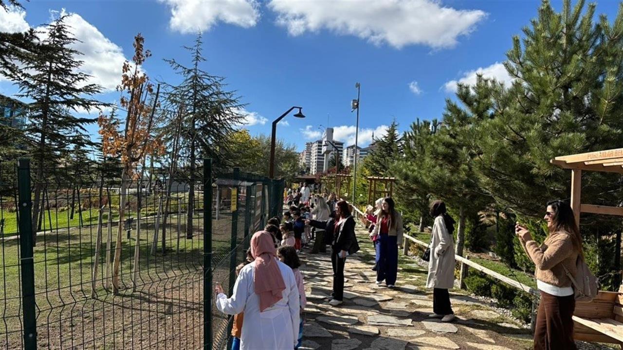 Endemik Vadi ile Çocuklara Doğa Bilinci Kazandırılıyor