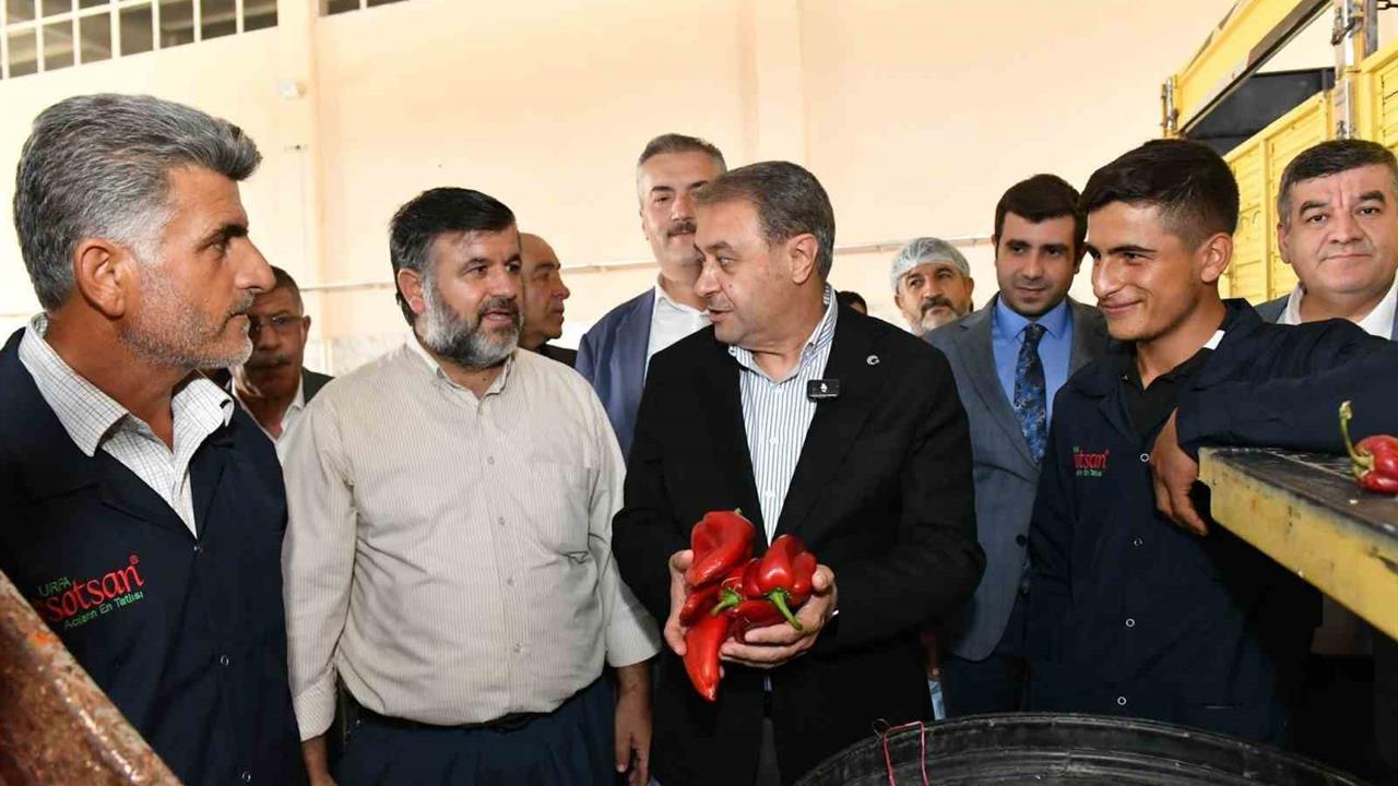 Şanlıurfa'da Gıda OSB İncelemesi: Vali Şıldak'tan Açıklamalar