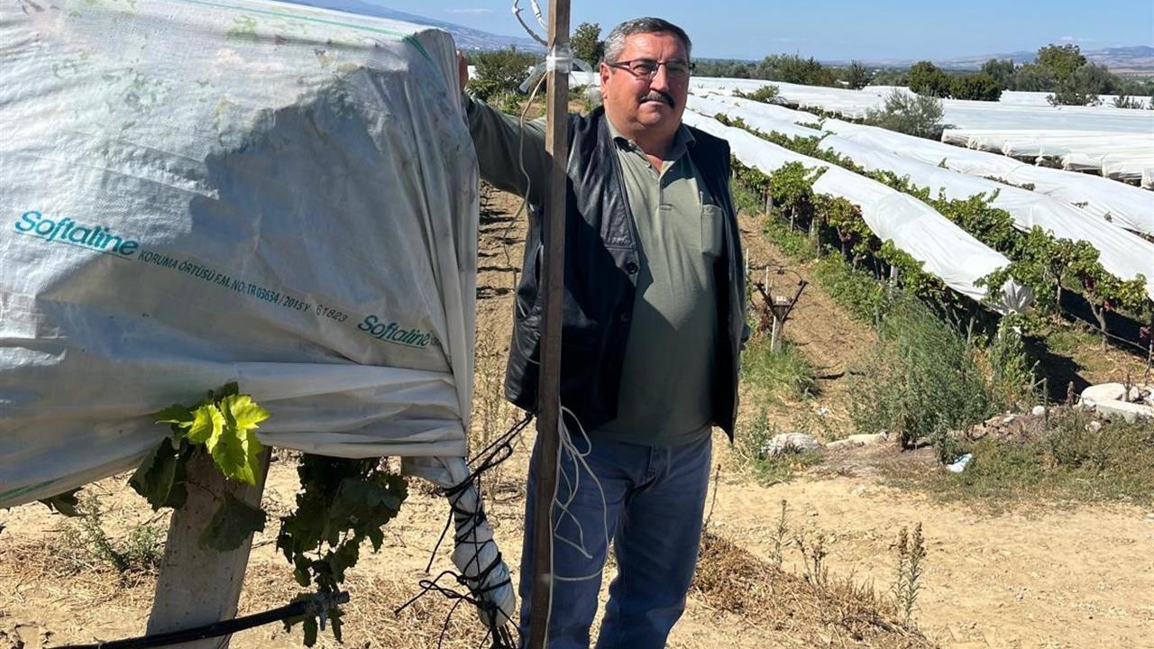 Manisa'da Üzüm Bağlarını Güvenlik Kameraları Koruyor