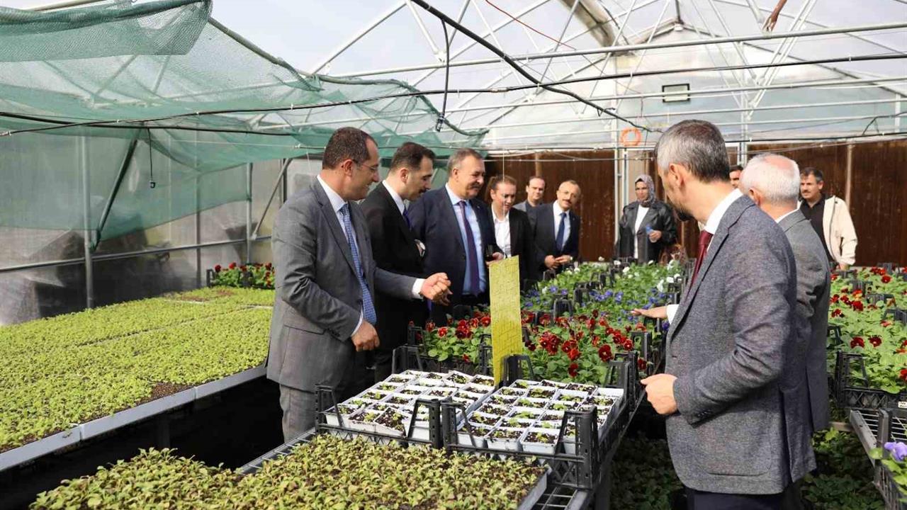 Akçaabat'ta Tarımsal Üretime Destek Devam Ediyor