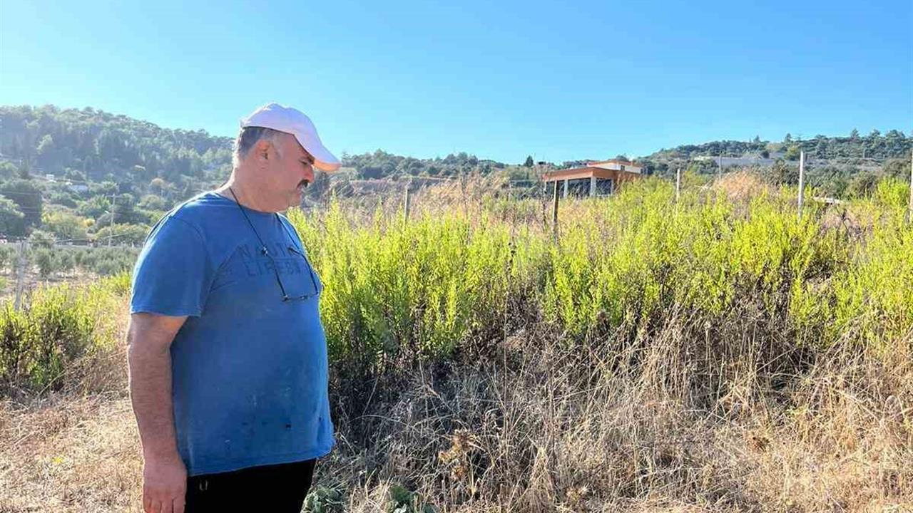 İstanbul'dan Dönen Çiftçi Keçilerini Parçalanmış Buldu