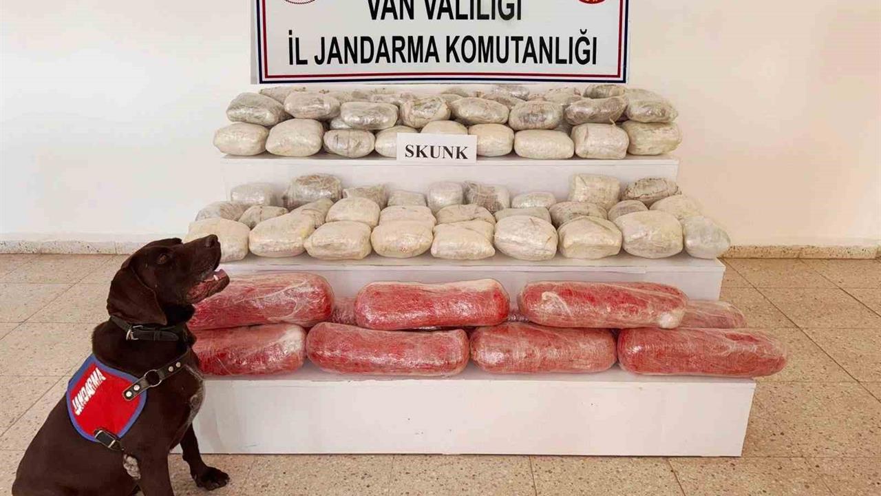 Van'da 61,9 Kilogram Skunk Ele Geçirildi