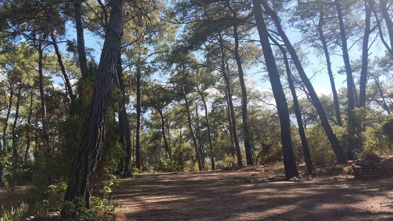 Akyaka Gökova Orman Parkı'nda Yenileme Çalışmaları Başladı