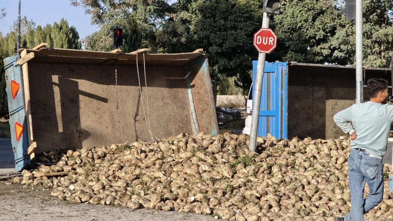 Muş'ta Şeker Pancarı Yüklü Traktör Devrildi