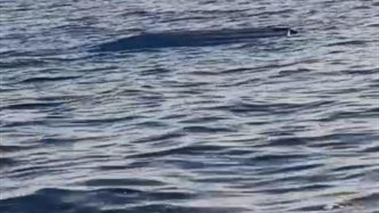 Artvin açıklarında insansız deniz aracı şüphesi