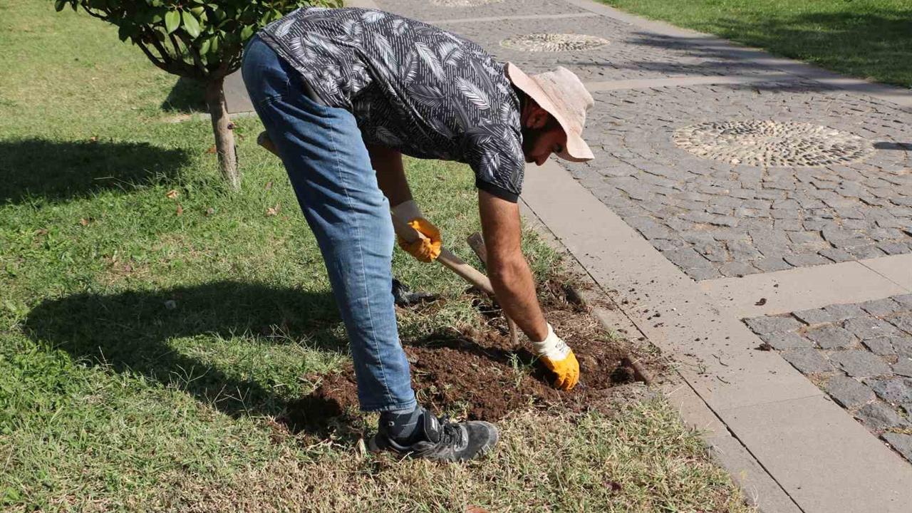 Diyarbakır Müzesinde 'Sütunlu Yol' Projesi Başlıyor