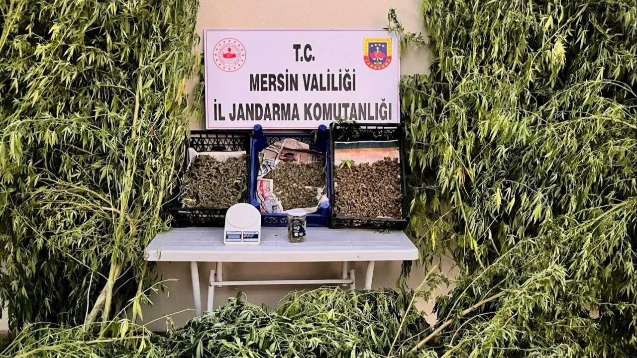 Mersin'de "jandarmadan Uyuşturucu Madde Operasyonu"